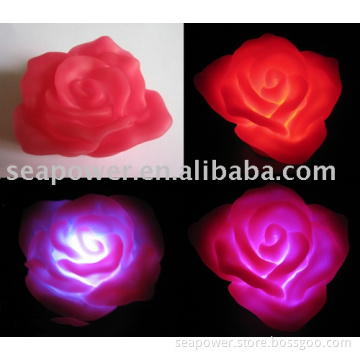 flashing rose